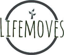 Life Moves Studio